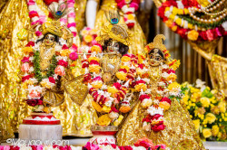 Daily Darshan