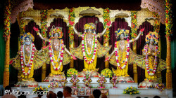 Daily Darshan
