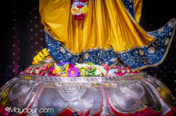 Daily Darshan