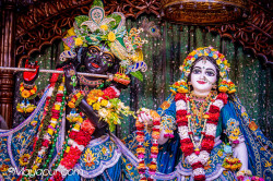 Daily Darshan