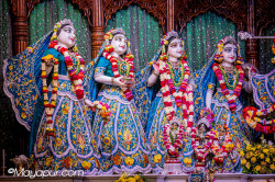 Daily Darshan