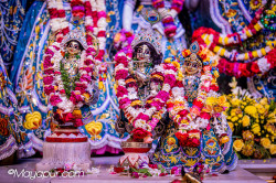 Daily Darshan