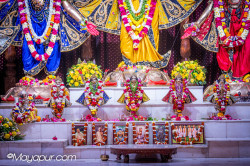 Daily Darshan