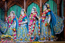Daily Darshan