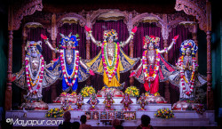 Daily Darshan