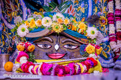 Daily Darshan