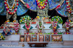 Daily Darshan