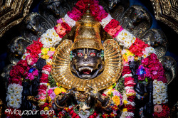 Daily Darshan