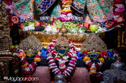Daily Darshan