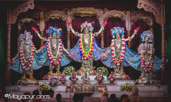 Daily Darshan
