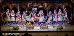 Daily Darshan