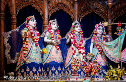 Daily Darshan