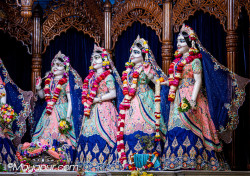 Daily Darshan
