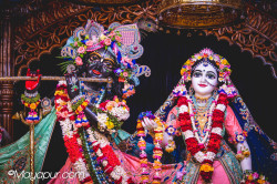 Daily Darshan