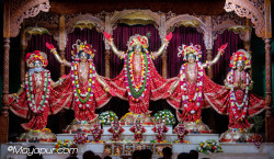 Daily Darshan