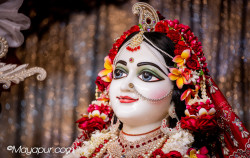 Daily Darshan