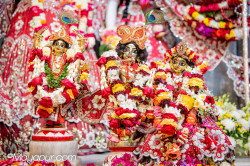 Daily Darshan