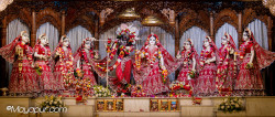 Daily Darshan