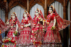 Daily Darshan