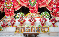 Daily Darshan