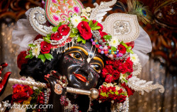 Daily Darshan