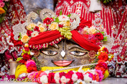 Daily Darshan