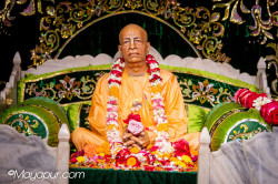 Daily Darshan