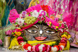 Daily Darshan