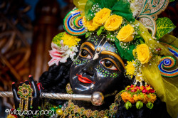 Daily Darshan