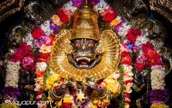 Daily Darshan