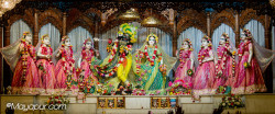 Daily Darshan