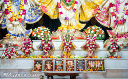 Daily Darshan