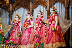 Daily Darshan
