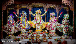 Daily Darshan