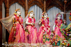 Daily Darshan