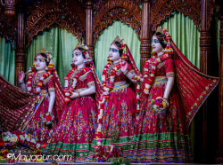 Daily Darshan