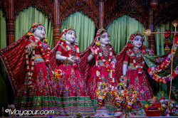 Daily Darshan