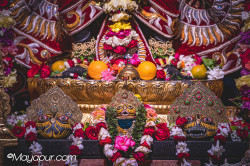 Daily Darshan