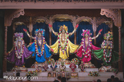 Daily Darshan