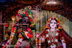 Daily Darshan