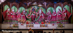 Daily Darshan