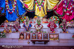 Daily Darshan