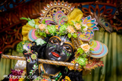 Daily Darshan