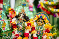 Daily Darshan