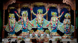 Daily Darshan