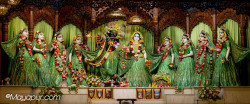 Daily Darshan