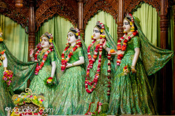 Daily Darshan