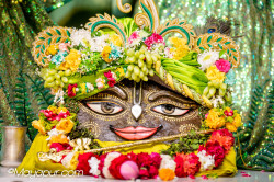 Daily Darshan