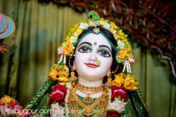 Daily Darshan