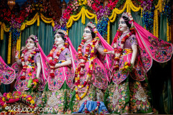 Daily Darshan
